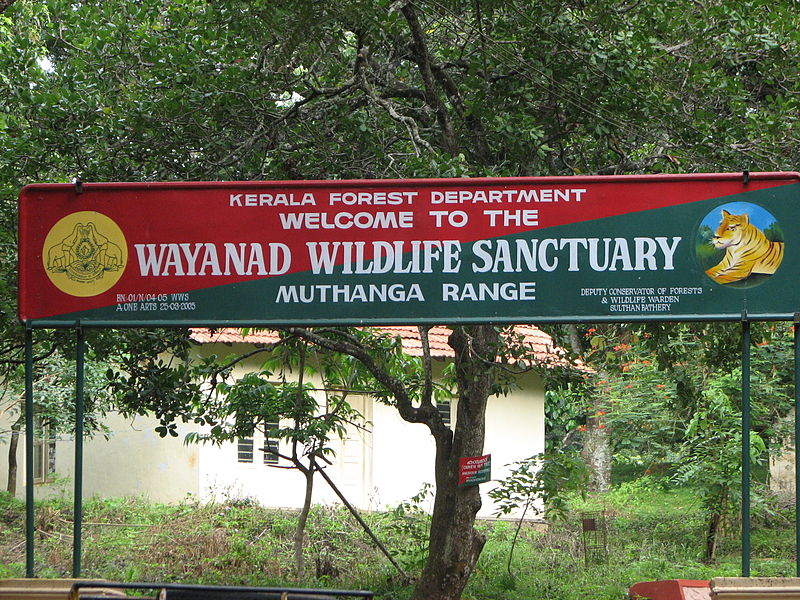 Wayanad wildlife sanctuary