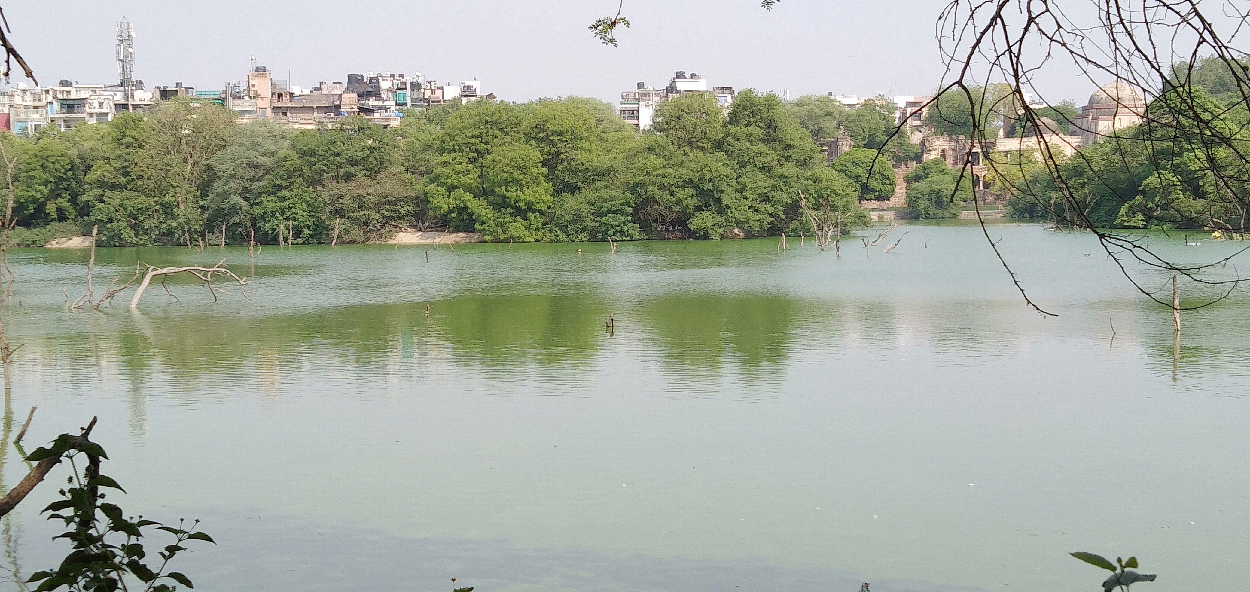 Hauz Khas Village Fort Market Deer Park Timing Metro Station Places