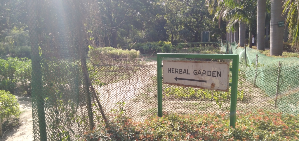 Herbal Garden